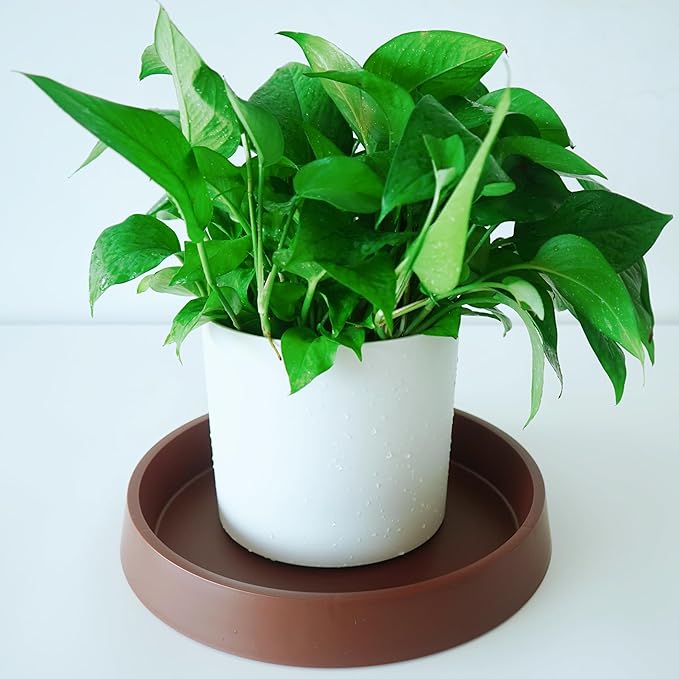 4 Pack Plant Saucer Tray for Ceramic Plastic Pots, 6 inch Plant Saucers for Indoors, Pot Saucers Trays, Flower Planter Water Drip Trays for Pots Base (6", Brown)