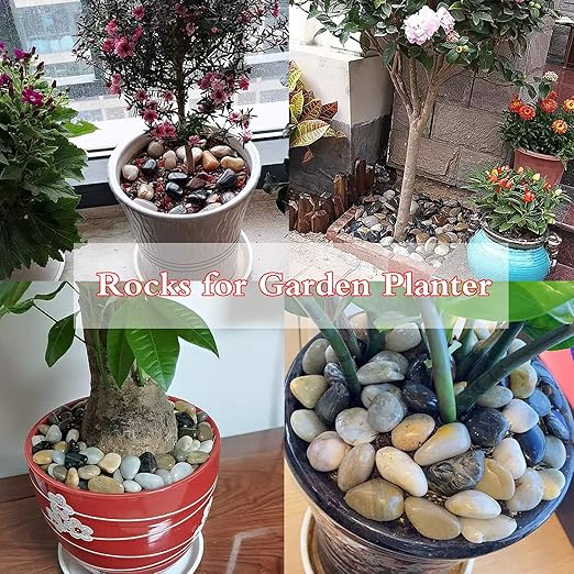 3 lb River Rocks for Succulent Plants,Decorative Rocks Bonsai Garden Pebbles,Aquarium Rocks Garden Landscaping Stones for Fish Tank,Plants, Vase Fillers (Multicolor, 3 lb)