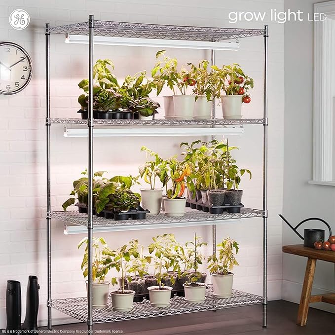 GE Grow Lights for Indoor Plants, BR30 Indoor Floodlight, LED Light Bulbs for Flowers and Fruit, Advanced Red Light Spectrum, 25,000 Hours Lifespan, 15 PPF, 1 Pack (Packaging May Vary)
