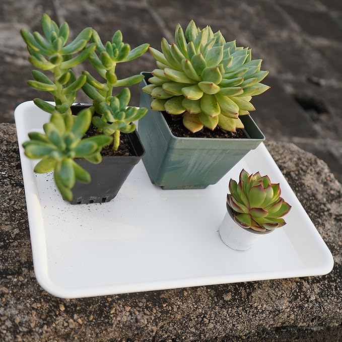 2 Pack Plant Saucer, Nursery Trays, Heavy Sturdy Seed Starting Tray for Indoors No Holes, Starter Growing Tray (17.5"x10.6", Creamy White)