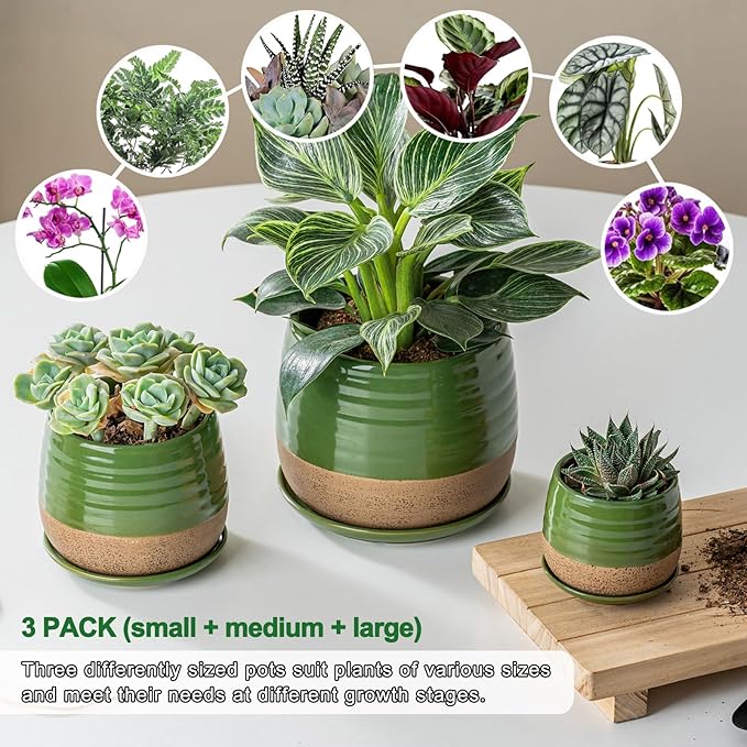 3 Piece Ceramic Small Planter for Indoor Plants - Succulent Plant Pots with Drainage Holes and Saucers - 3.4/4.7/6.1 inch Modern Decorative Small Flower Pots for Bamboo, Succulents and Herbs, Green