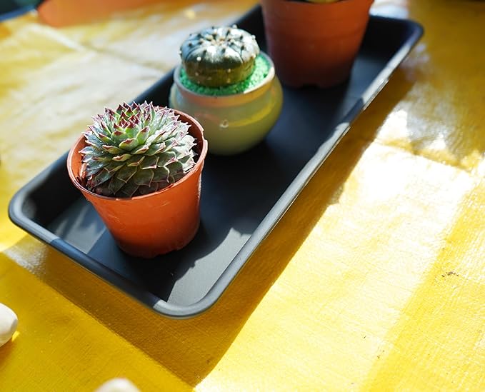 2 Pack Plastic Plant Saucer, Rectangular, Indoors Outdoor, Drip Tray for Flower Pot, Windowsill (6 X 11 Inch, Black)