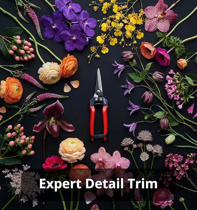 Gardeness SK5 Floral Scissors, Ultra Sharp Straight Pruning Shears – Garden Snips & Flower Clippers for Stems, Leaves, Bonsai and Fruit Picking, Lightweight Effort‑Saving Gardening Scissors (1 Pack)