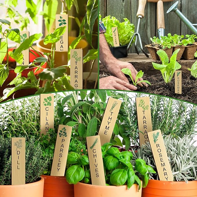 Teling 50 Pcs Wooden Plant Labels with Marker Pen DIY Garden Stakes Sign Sturdy Vegetable Plant Markers Wood Herb Garden Labels for Seed Potted Flowers Outdoor Indoor Kitchen Planter(Classic Style)