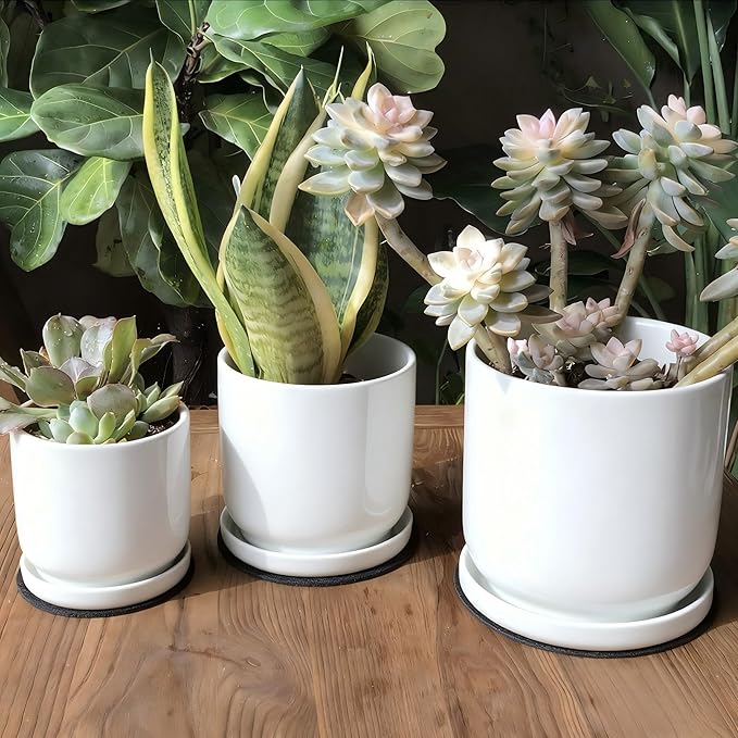 Ceramic Plant Saucer Pot Tray 6、8、10 Inch White, Planter Saucers for Indoors Outdoor, Durable Sturdy Flower Drainage drip Water Tray for Glazed Pots Base