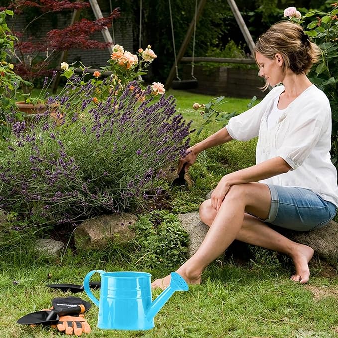 Watering Can Gardening Tool Accessories, Sprinkling Can 1L Metal Flower Garden Watering Can for Outdoor Indoor Plants Lawn Garden (Blue)