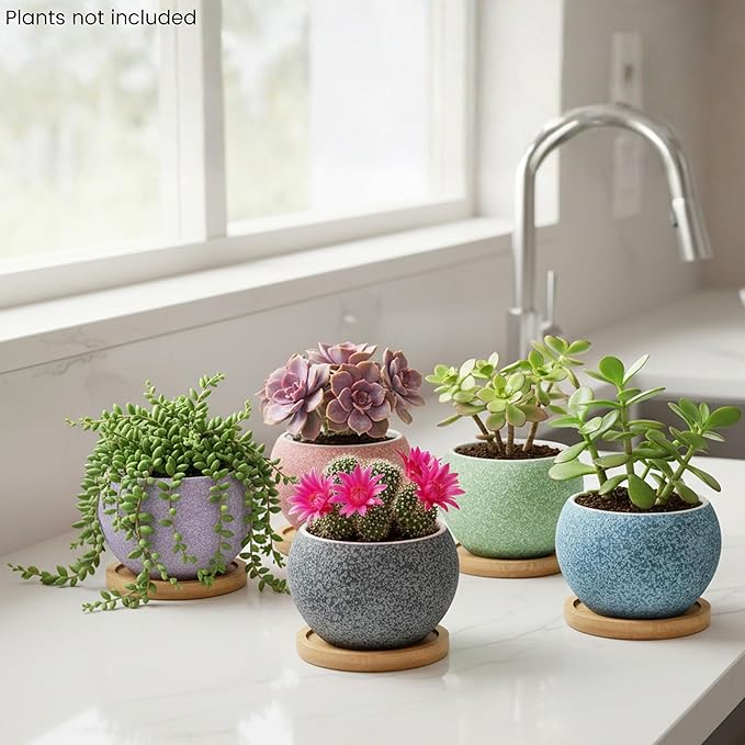 3 inch Ceramic pots for Plants, Small Succulent Pots Set with Drainage, 6 Pack Flower Pot for Indoor Plant, Planters for Little or mini Cactus 2 inches Plants