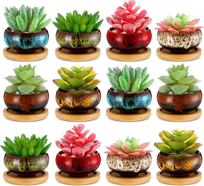 12 Pcs Succulent Pots 2.5 Inch Mini Ceramic Succulent Garden Flower Pots Planters with Drainage and Bamboo Tray for Indoor Garden Plants Planters Colorful Flower Pot(Round,1.2 Inch H)