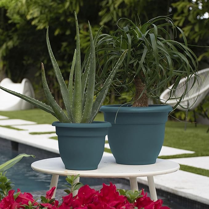 Bloem Ariana 8" Charleston Round Self-Watering Resin Planter Pot - Rolled Rim Indoor and Outdoor Gardening Planter