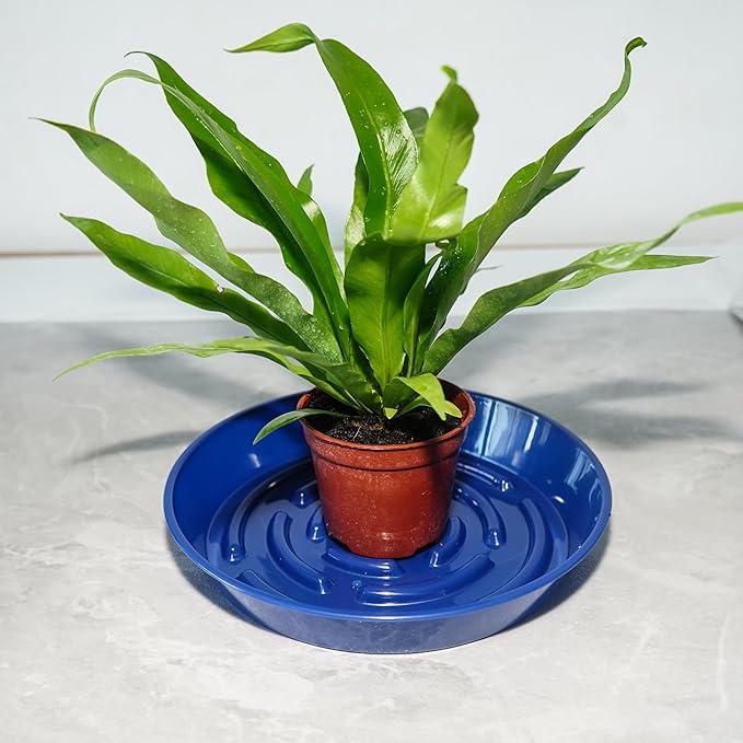 6 Packs Plant Saucer Pot Tray, 12 inch Blue Flower Planter Saucers and Drip Trays