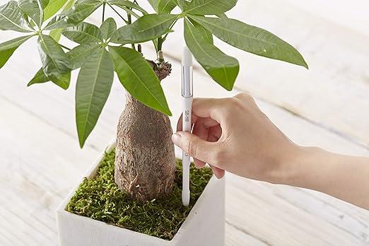 Sustee Aquameter, Set of 5, Plant Soil Moisture Sensor (White, Medium)