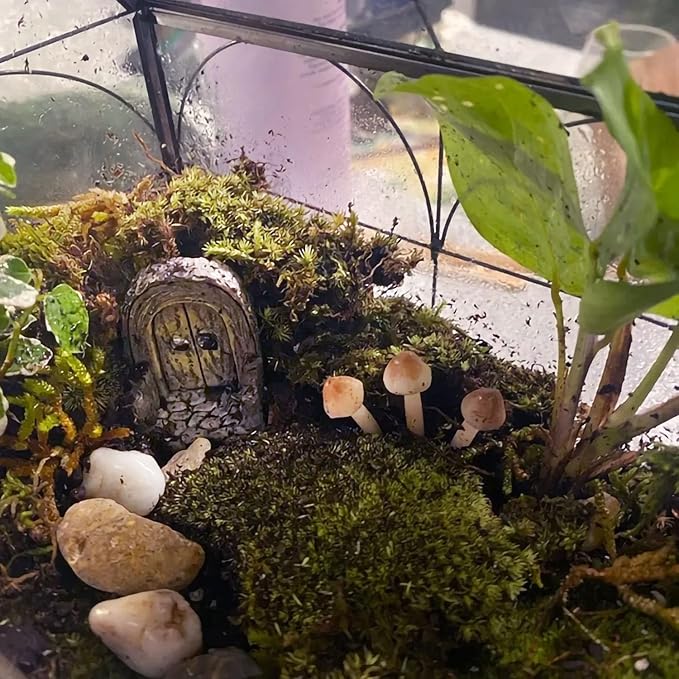 Fairy Door.Miniatue Fairy Tiny Circular Arch Door Figurines.Fairy Garden Supplies.Terrarium/Aquarium Accessories.DIY Miniature Garden.A Door and 3Pcs Steppings. (Fence Hobbit Door)