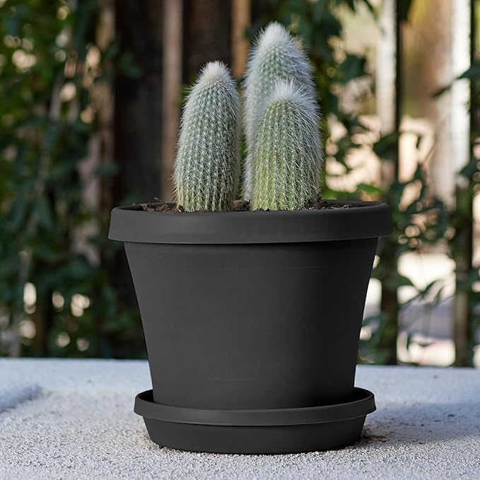 Bloem Terra 10" Diameter Round Black Resin Planter Pot with Drainage Holes for Indoor and Outdoor Gardening