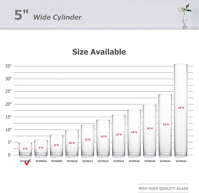 WGVI Thick Weighted Clear Right Cylinder Glass Vases, 5" W x 5" H, Equilateral Cylinder Glass Candle Holders Flower Arrangement Centerpieces Storage Container Brush Pen Holder, Bulk Wholesale, 6 Pcs