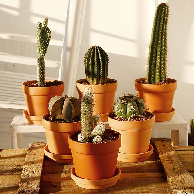 Yishang 7pcs 4.7in Terracotta Pot - Small Round Plant Pot Saucers, Clay Trays, Perfect for 3.5-5in Flower Pots, Drainage Hole, Indoor/Outdoor