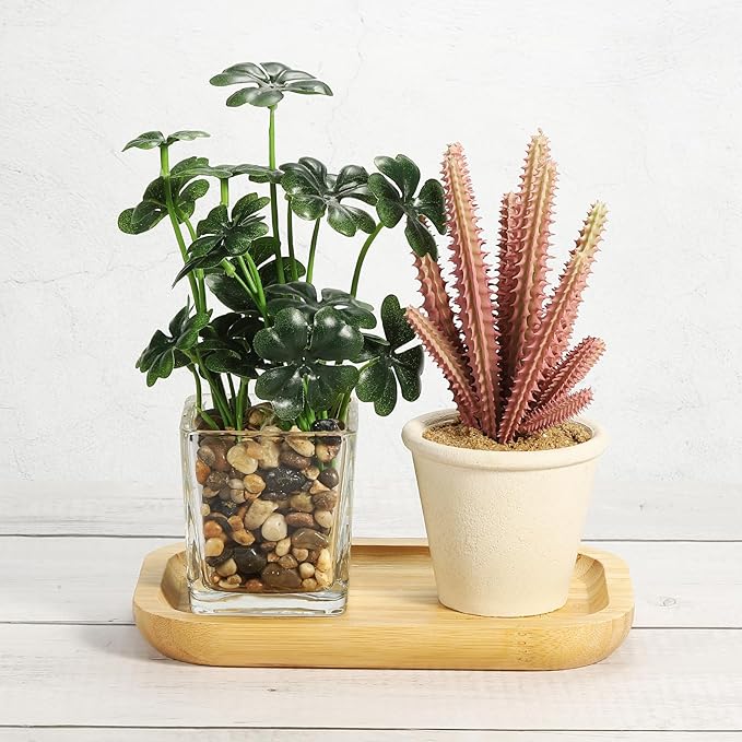 PATIKIL Wood Saucer, 8x5 Inch Rectangular Wooden Plant Drainage Tray Bonsai Plants Saucer Succulent Pot for Home Balcony Patio