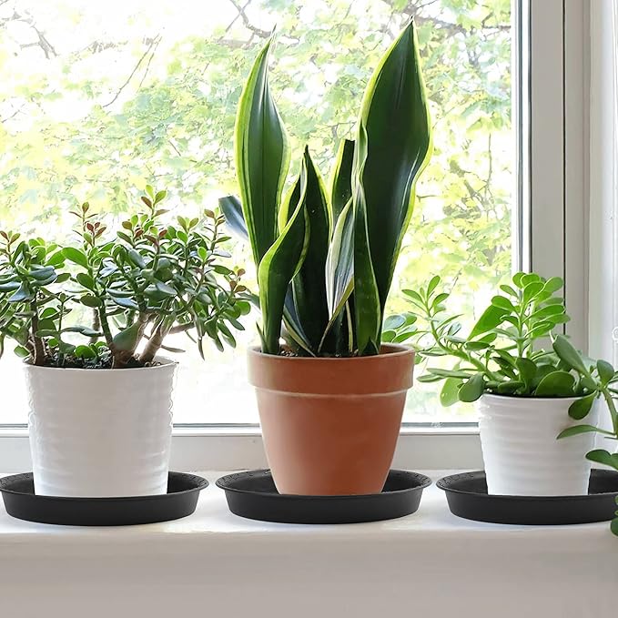 LotFancy Plant Saucer, 9 Inch of 3 Pack, Heavy Duty Plastic Plant Trays, Durable Pot Saucer Drip Tray for Indoor Outdoor, Flower Drainage Pot Base, Black