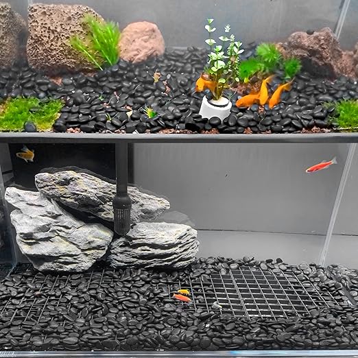 Black Pebbles for Indoor Plants 3.5 LB Small River Rocks 1"-1.5" Polished Decorative Stones Smooth Aquarium Gravel for Fish Tank Vases Planters Outdoor Landscaping Garden (56oz)
