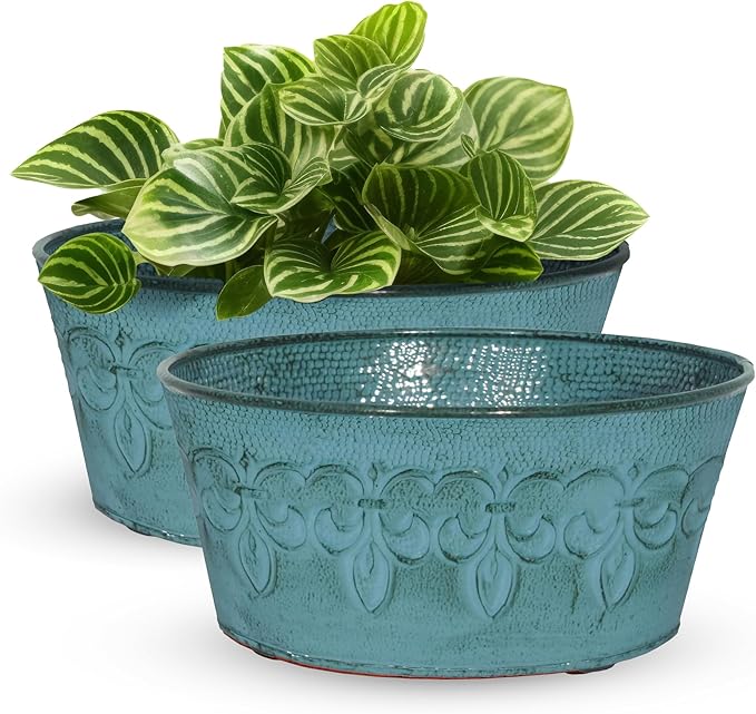 Headwind Ironlite Fleur De Lis Collection – 8" Surf Blue Bowl Decorative Planter with Drain Plug – Lightweight Metal Garden Pots for Indoor & Outdoor Planters Use by Robert Allen