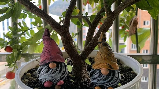 Mini Gnomes Figurines 5pcs,Gnomes Decorations for Home,Fairy Garden Accessories,Mini Garden Dwarfs for Plant pots,Resin Little Dwarfs for Fairy Yard