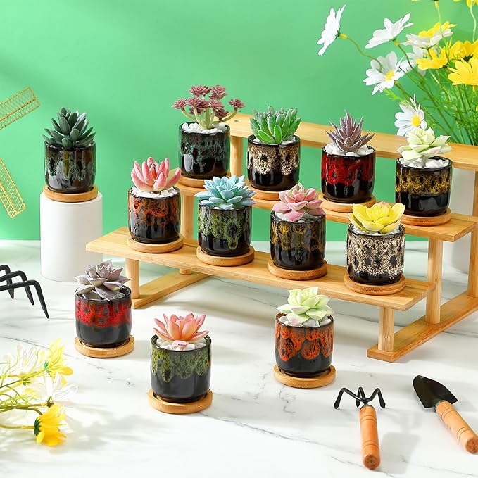12 Pcs Succulent Pots 2.5 Inch Mini Ceramic Succulent Garden Flower Pots Planters with Drainage and Bamboo Tray for Indoor Garden Plants Planters Colorful Flower Pot(Cylindrical,2.3 Inch H)