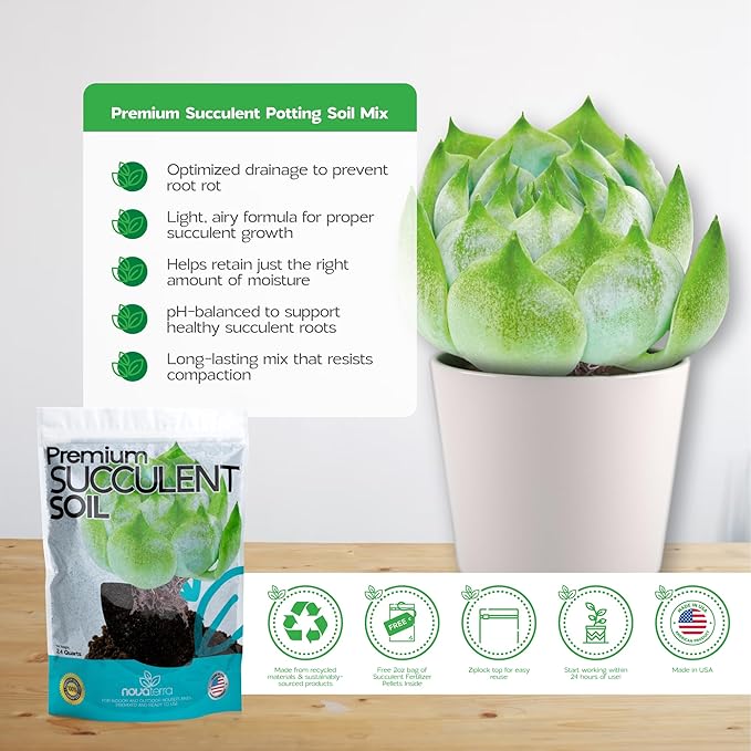 Succulent Soil Potting Mix Succulents Plants Live Succulent pots Potting Soil for Succulents Indoor suculentas Potting 2 oz Free Fertilizer Pellets Bag Inside 2.4 Qts