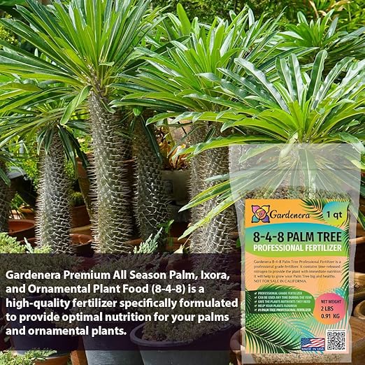 Premium 8-4-8 Professional Palm Tree Fertilizer Plant Food |Indoor Potted Plants and Outdoor Landscape Palm Trees | Quick-Release Nitrogen Fertilizer and Continuous Feeding (2 Quarts)