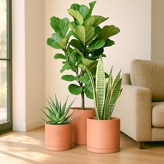 D'vine Dev Terracotta Pots for Plants, 8.3 Inch 10 Inch 12 Inch, Round Cylinder Planter Pot with Drainage and Saucer, 40-T-D-0