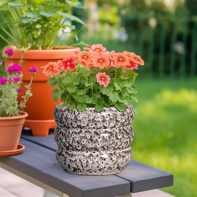 SQOWL Ceramic Plant Pots - 8 Inch Ceramic Planter for Indoor Plants Outdoor, Round Planter with Drainage Hole, Round Decorative Flower Pots, Living Room Office Garden Decor, Gardening Gifts, White