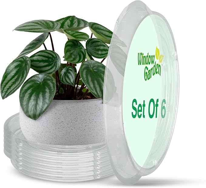 Window Garden 12" Plant Saucer - Plastic Plant Trays for Indoor and Outdoor - Clear Flower Pot Drip Trays - Drainage Base - Water Tray for Pots Indoors - Planter Saucers for Potted Plants - Set of 6