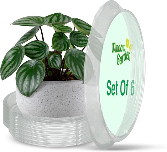 Window Garden 12" Plant Saucer - Plastic Plant Trays for Indoor and Outdoor - Clear Flower Pot Drip Trays - Drainage Base - Water Tray for Pots Indoors - Planter Saucers for Potted Plants - Set of 6