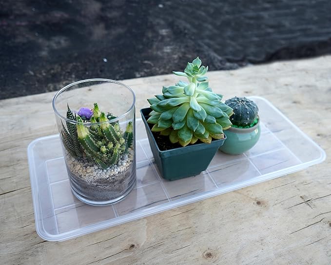 2 Pack Plastic Plant Saucer, Rectangular, Indoors Outdoor, Water Drip Tray for Flower Pot, Windowsill (5.5 x 10 Inch, Clear)