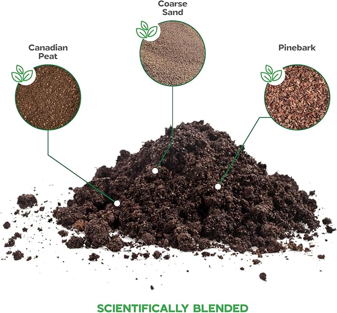Succulent Soil Potting Mix Succulents Plants Live Succulent pots Potting Soil for Succulents Indoor suculentas Potting 2 oz Free Fertilizer Pellets Bag Inside 2.4 Qts