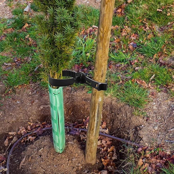 Coloch 10 Pieces Tree Stake Support Bands, Adjustable Tree Plant Ties Reusable Garden Trees Strap Durable Branch Rubber Ties Garden Stake Connectors for Cable Plant, Young Tree, 23.3 Inches