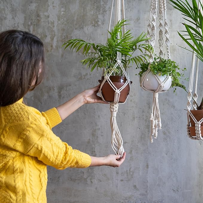 PATIKIL Plant Hanger, 8 Pcs Pulley Retractable Hanging with Ceiling Hook Indoor and Outdoor Plant Pots Holder, for Planters, Flower Basket, Wind Chimes, Bird Feeders, Black
