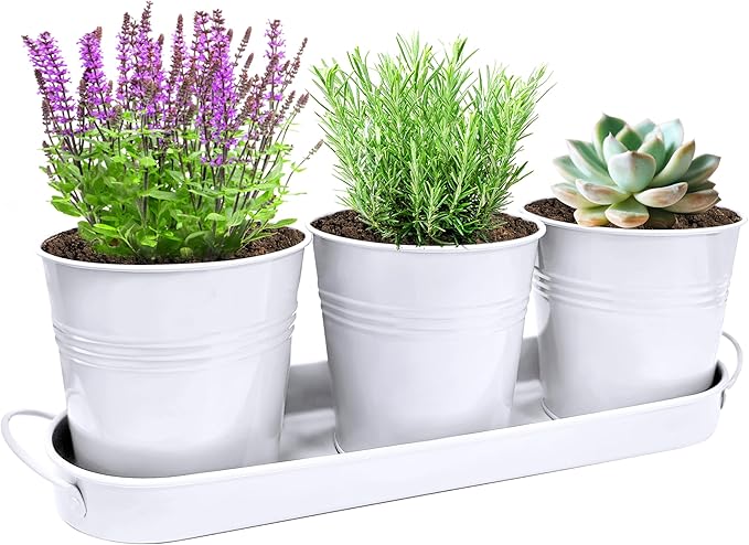 TCBWFY Indoor Herb Garden Planter Set, 3-Pack 4.7 Inch White Metal Plant Pots with Drainage Holes & Removable Tray, Windowsill Planter for Kitchen Countertop, Balcony, Office