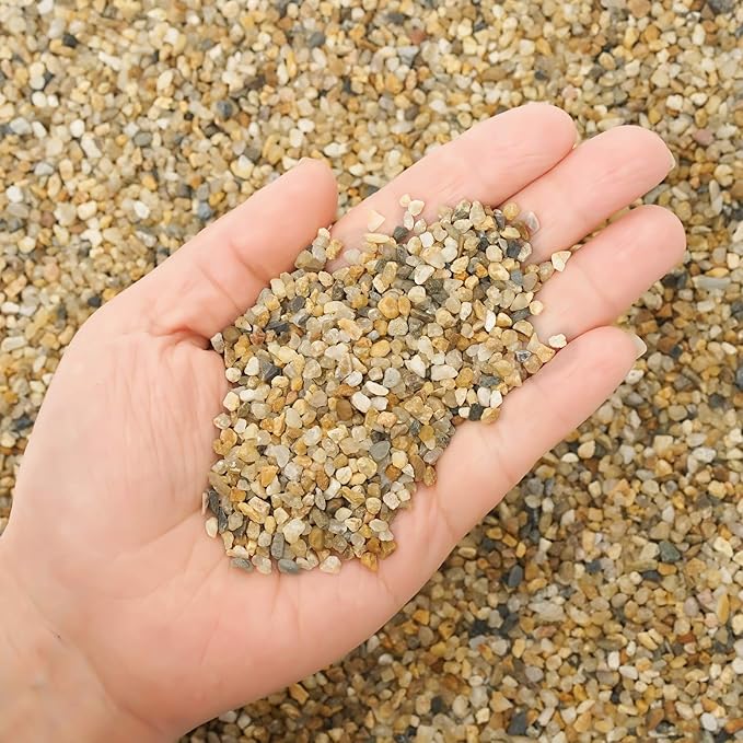 5 lb Coarse Sand Stone - Succulents and Cactus Bonsai DIY Projects Rocks, Decorative Gravel for Plants and Vases Fillers，Terrarium, Fairy Gardening, Natural Stone Top Dressing for Potted Plants.