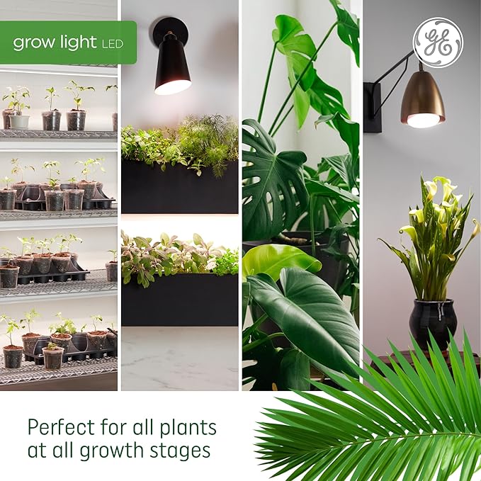 GE Grow Lights for Indoor Plants, BR30 Indoor Floodlight, LED Light Bulbs for Seeds and Greens, Balanced Light Spectrum, 25,000 Hours Lifespan, 16 PPF, 4 Pack (Packaging May Vary)