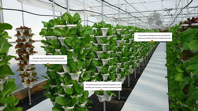 Vertical Gardening Stackable Planter - Build Simple Stacking Gardens or Efficient Commercial Farms - Grow More Strawberries, Herbs, Vegetables & Flowers in Less Space - US Made Pots (Medium, Stone)