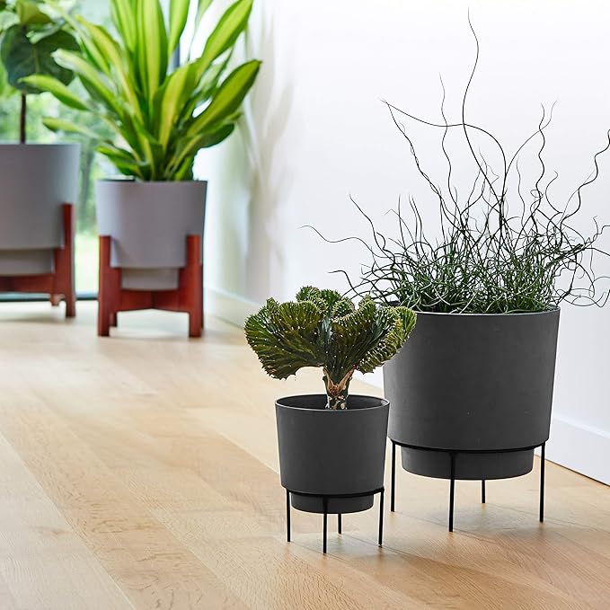 Bloem Hopson Decorative Resin Cachepot with Metal Stand, 10" Indoor and Outdoor Planter with Black Metal Stand, Charcoal