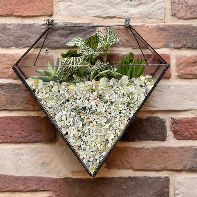 5LB Succulent and Cactus Bonsai DIY Rocks, Jade Bean Pebbles, Natural Decorative Polished Stones Vase Fillers Gravel for Plants，Terrarium , Fairy Gardening, Indoor Outdoor Decor Ornamental Stones.