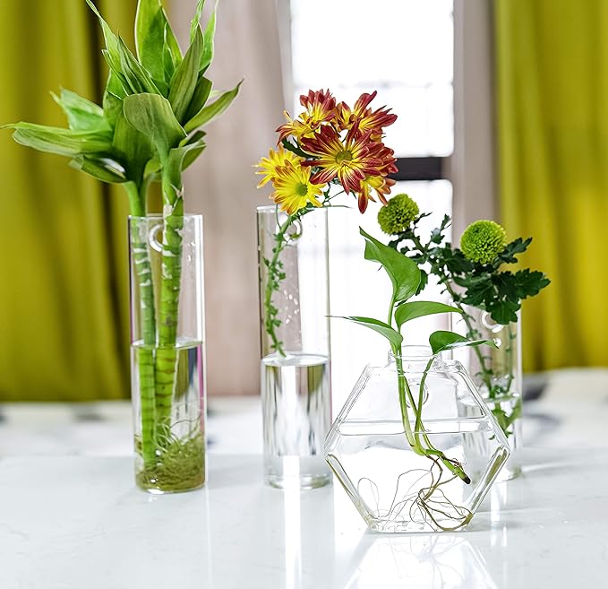 2 Pack Wall Hanging Planters Glass Terrariums - Cylindrical Plants Holders Air Plants Succulents Planters Flowers Glass Wall Vase Containers for Decor Indoor Garden