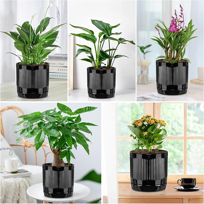 Vanavazon 6 Inch Glazed Ceramic Plant Pots Indoor with Drainage Hole and Saucer, Cylinder Indoor Planters for All House Plants, Modern Decor for Home & Office, Set of 2 (Black)