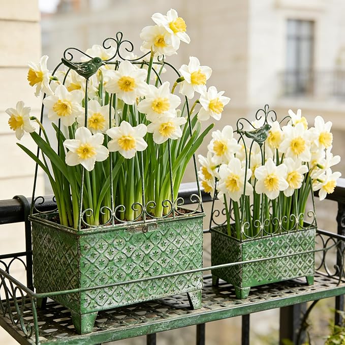 2-Piece Vintage Green Metal Birdcage Planter Set, Decorative Flower Pots with Ornate Design for Indoor Outdoor Garden Decor, Distressed Planters (Green)