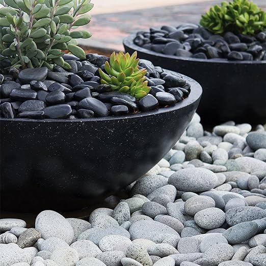 10lbs Pebbles for Plants, 1-2Inch Natural White River Rocks for Aquarium, High Polished Decorative Stones for Vase Filler Fish Tank Landscaping Garden