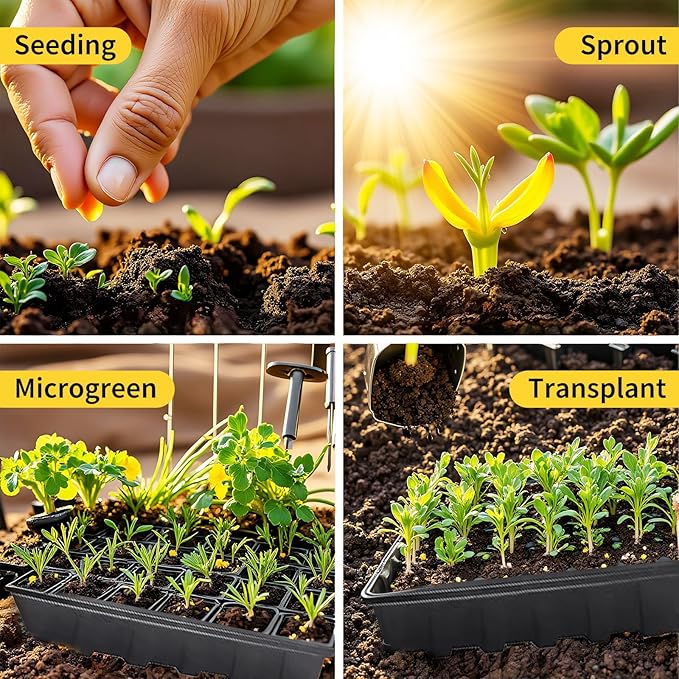 10Pack Seed Starting Trays, Strong Plastic Growing Plant Tray, Seed Tray, Seedling Trays for Greenhouse and Flowers, Wheatgrass, Sprouting