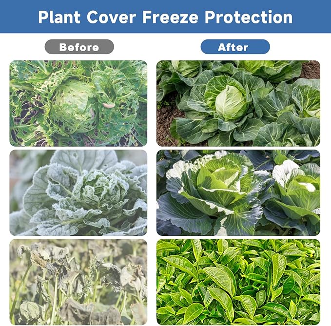 Plant Covers Freeze Protection,10 ft x 20 ft 1.1oz/yd² Thicker Floating Row Blanket Cover Fabric Plant Cloth for Winter Frost Snow and Garden Protection