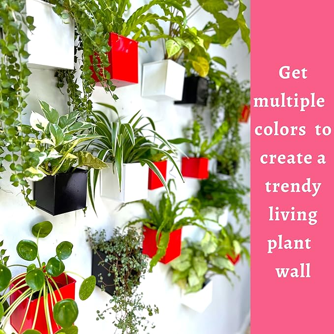 LaLaGreen Wall Planter - 6 Pack, 4 Inch Square Metal Wall Planter for Indoor Plants, Small White Wall Mounted Flower Pots Outdoor Herb Garden Decor, Balcony Railings Hanging Buckets Porch Patio