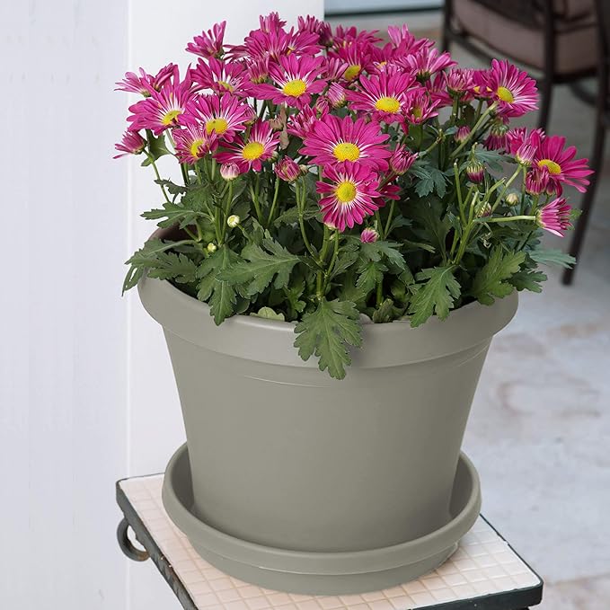 Bloem Terra Resin Saucer Tray: 6.5" Bottom Width - Pebble Stone Beige - Matte, Durable, Ribbed Bottom, Indoor and Outdoor, Fits 8" Terra Pots