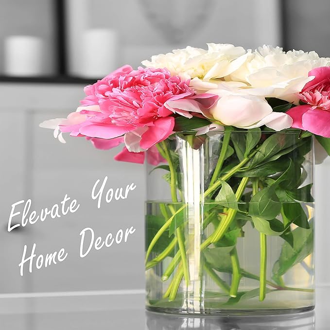 CYS Excel Glass Cylinder Flower Vase (H:8" D:8") Flower Vase Centerpieces Hurricane Floating Pillar Candle Holder Terrarium Planter